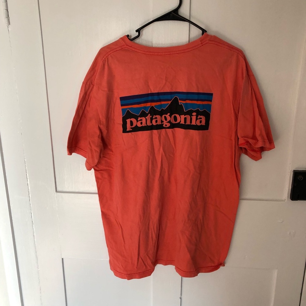 Patagonia tee